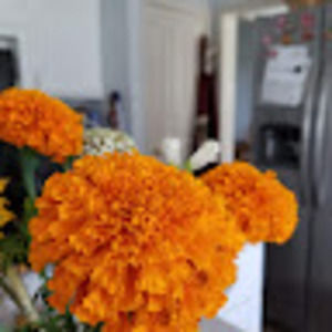 Meet your Posher, Ruth